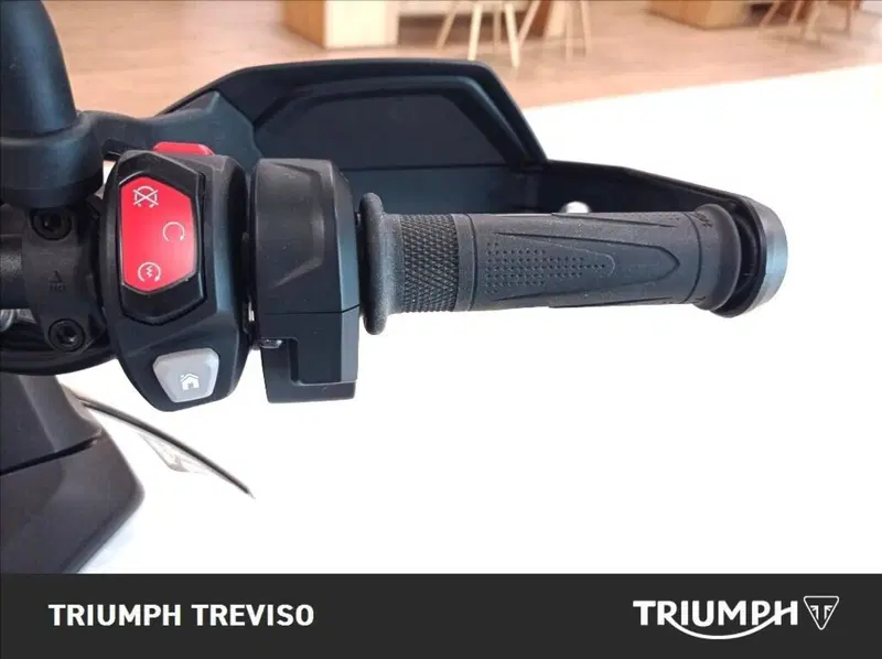 Triumph Tiger 900 Alpine Special Edition (2026) (5)