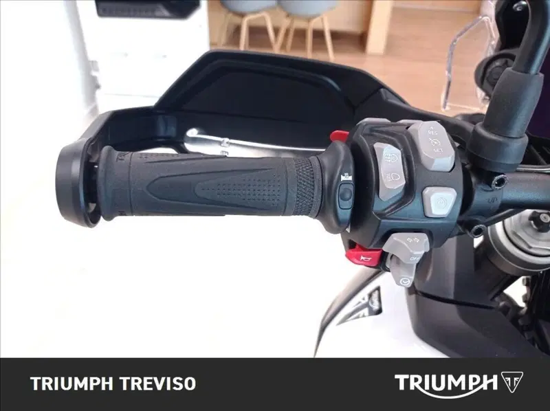Triumph Tiger 900 Alpine Special Edition (2026) (6)