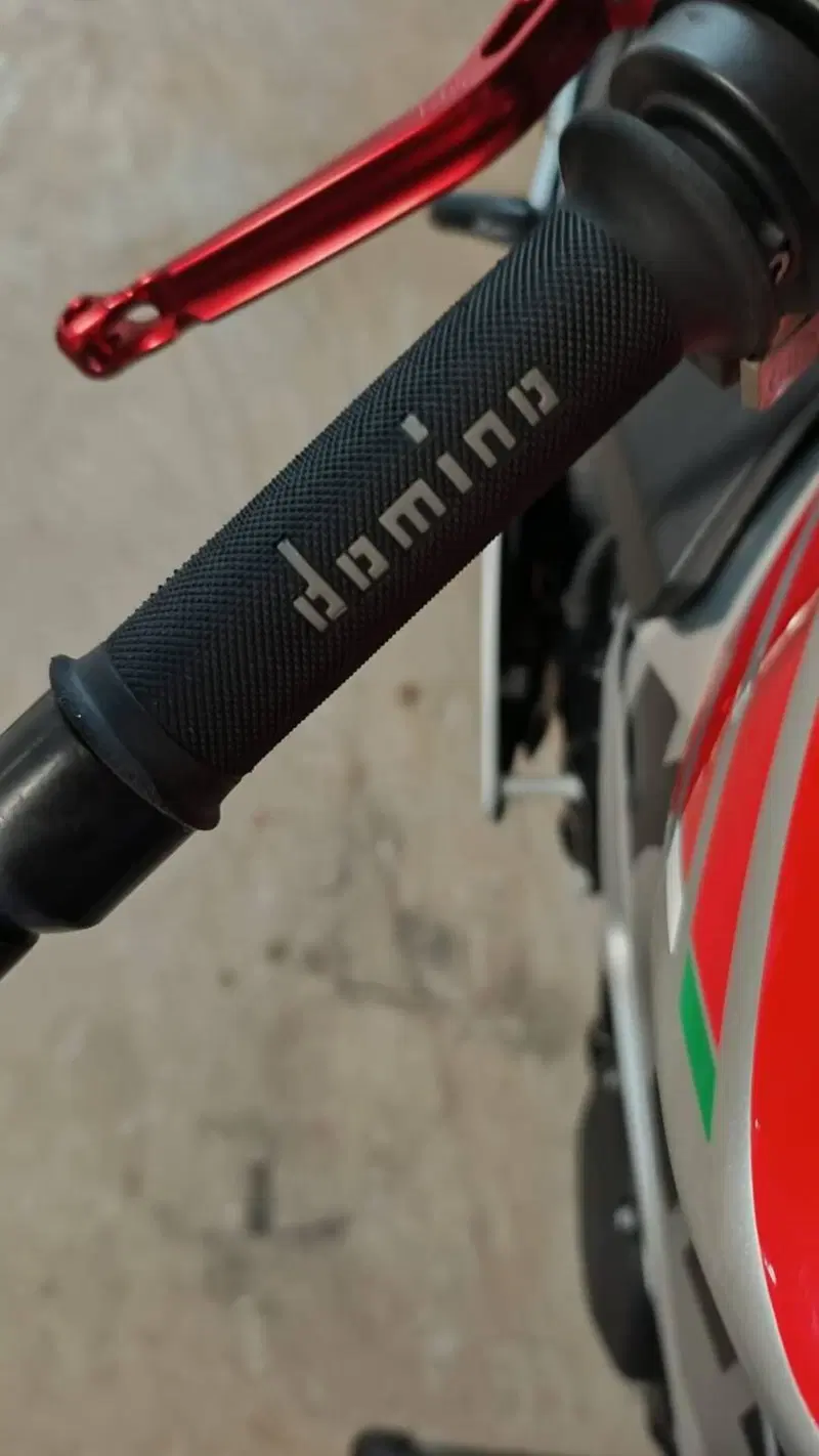 Aprilia Tuono V4 RR (2017 - 18) (11)