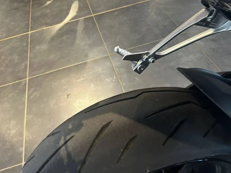 Aprilia Tuono 660 Factory (2022 - 24) (4)