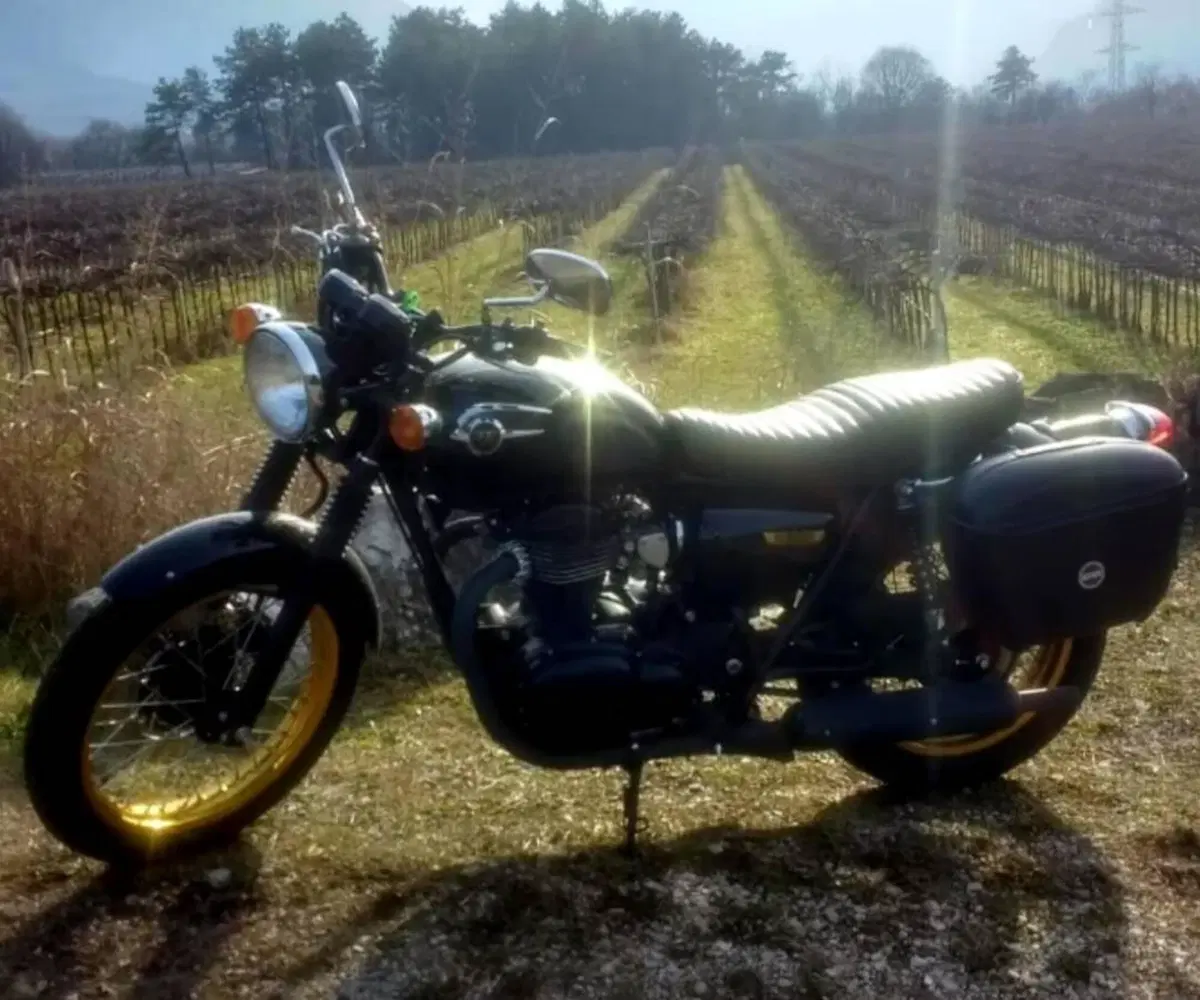 Kawasaki W 800 (2010 - 17) (2)