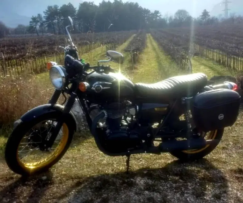 Kawasaki W 800 (2010 - 17) (2)