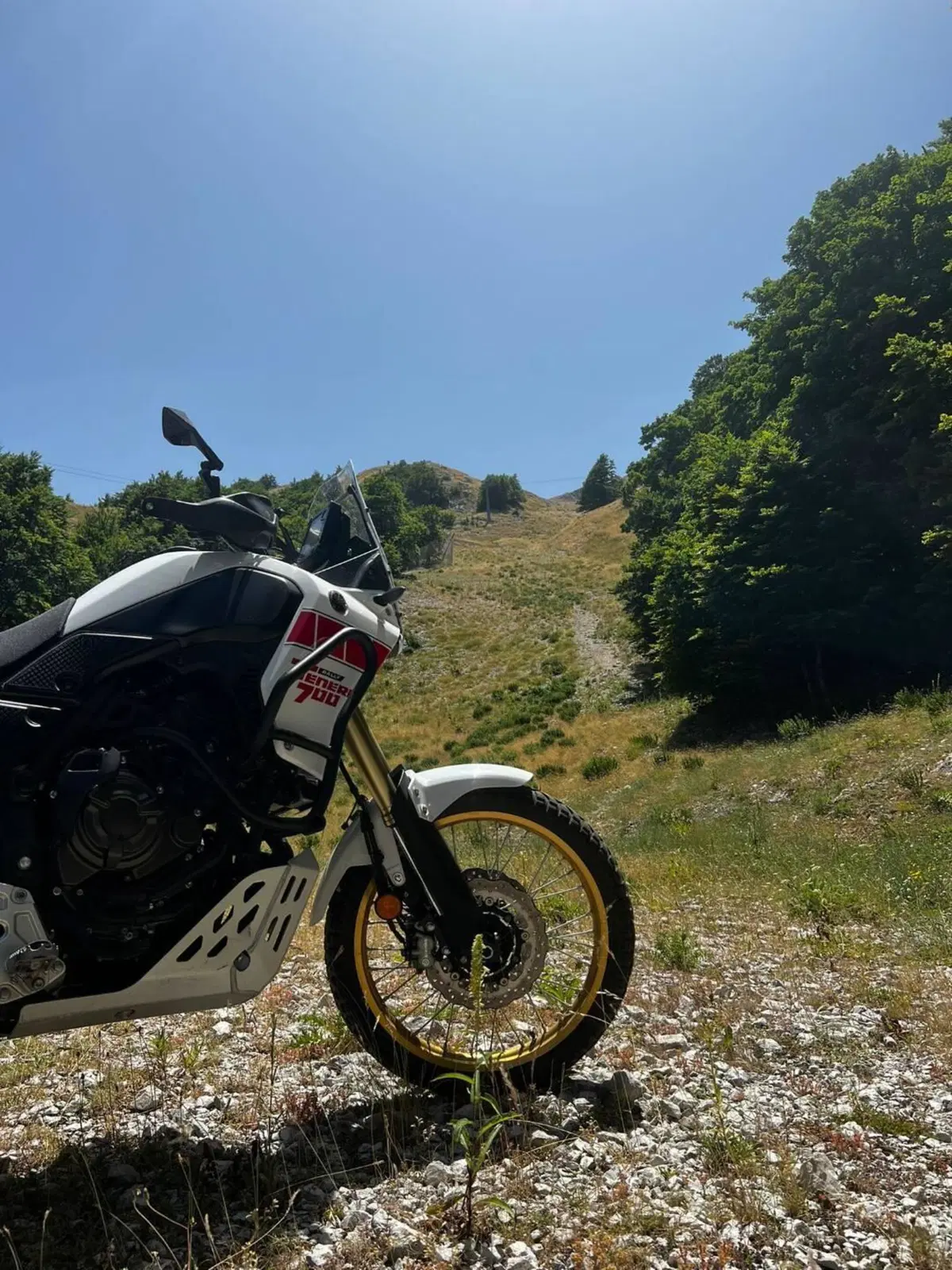Yamaha Ténéré 700 Rally Edition (2022 - 24) (5)