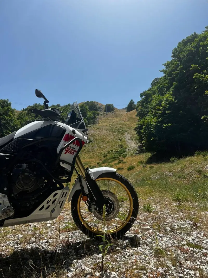Yamaha Ténéré 700 Rally Edition (2022 - 24) (5)