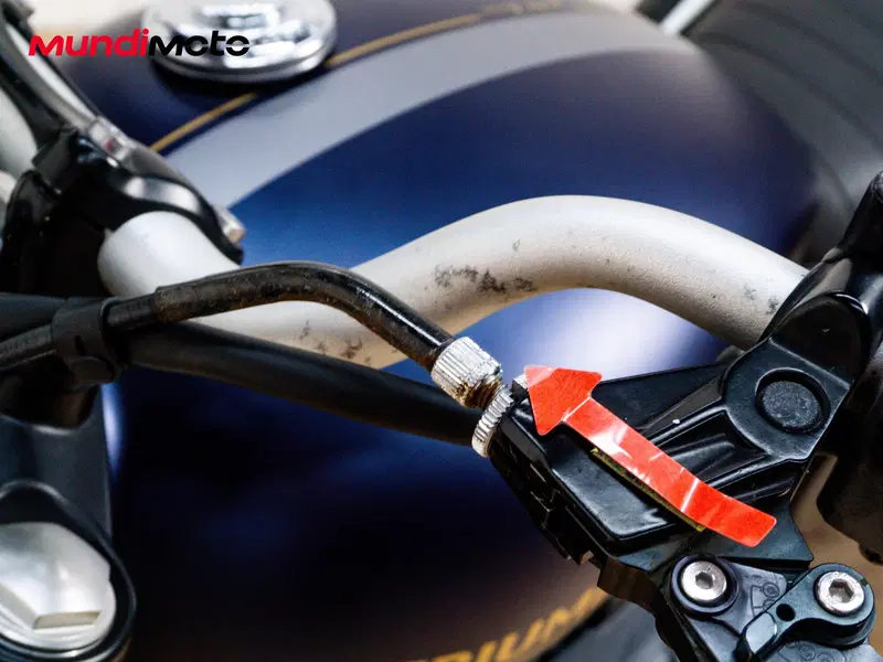 Triumph Street Scrambler 900 Gold Line Edition (2021 - 23) (13)