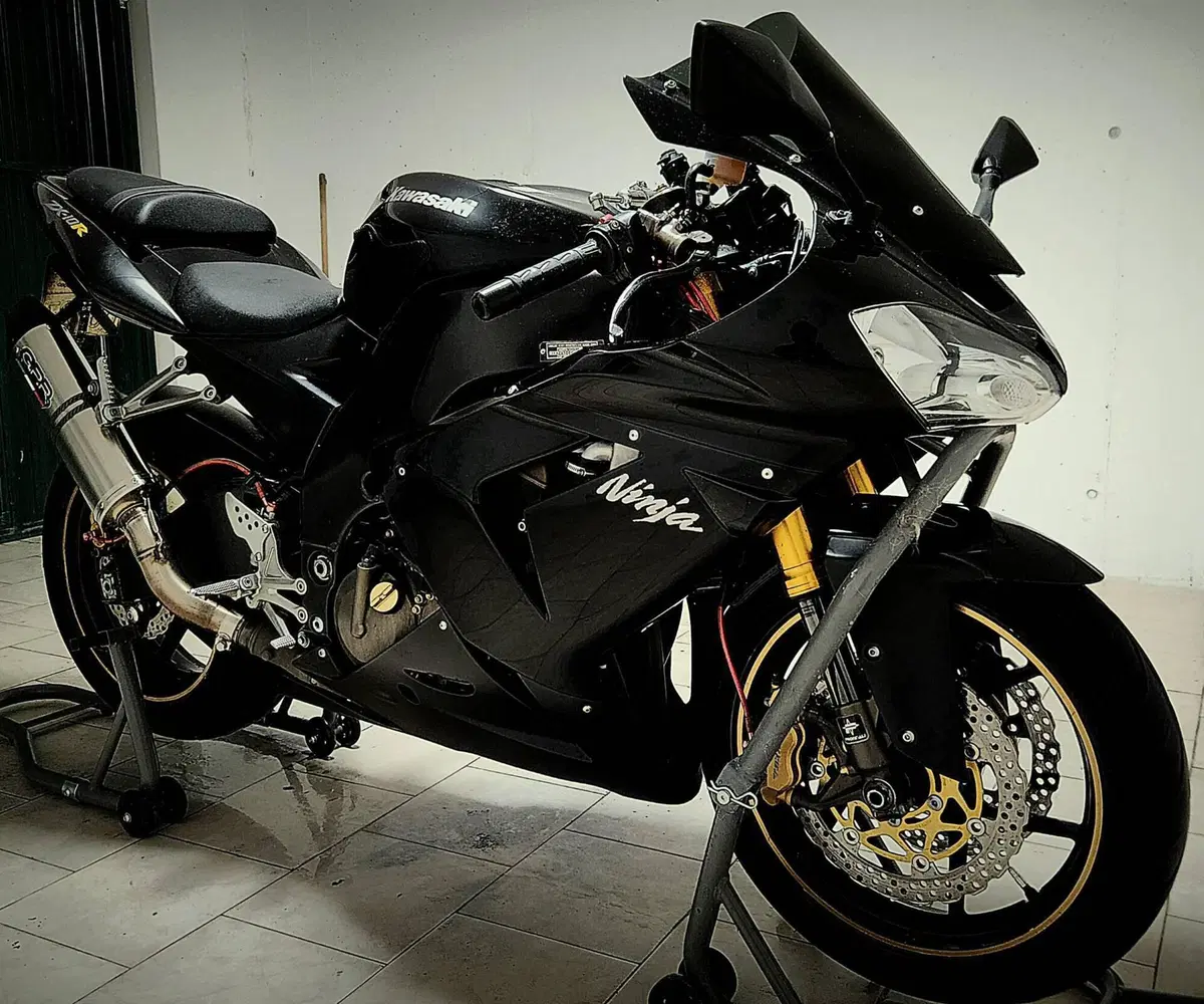 Kawasaki Ninja 1000 ZX-10R (2004 - 05) (3)