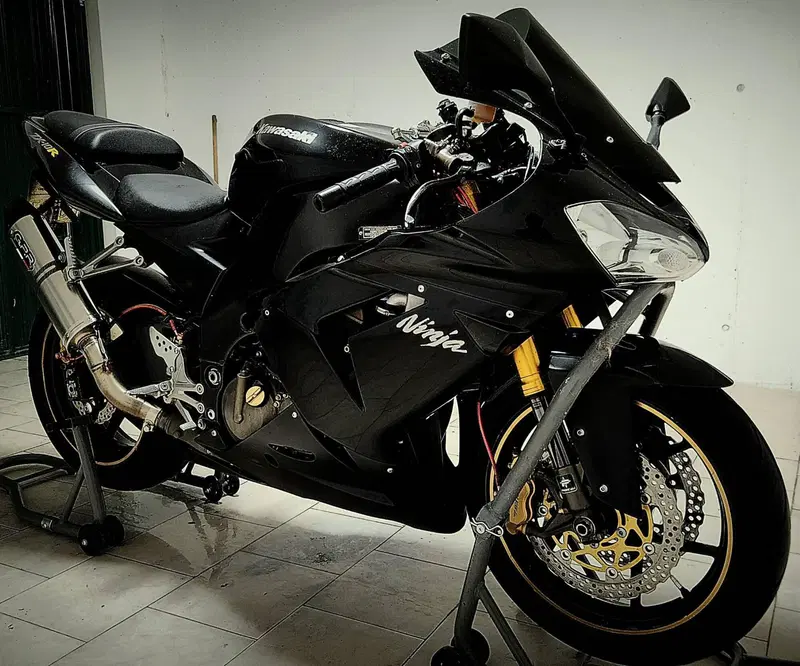 Kawasaki Ninja 1000 ZX-10R (2004 - 05) (3)