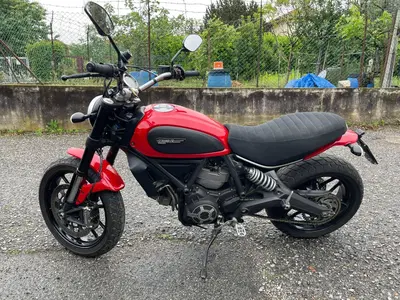 Ducati Scrambler 800 Icon (2015 - 16) usata