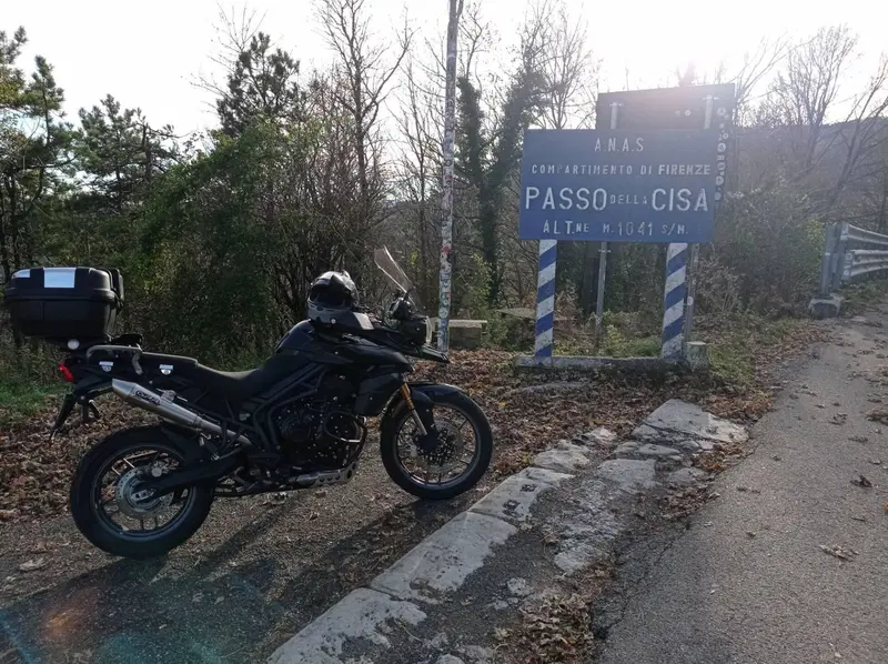 Triumph Tiger 800 ABS (2010 - 14) (4)