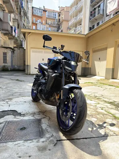 Yamaha MT-09 (2024 - 26) usata
