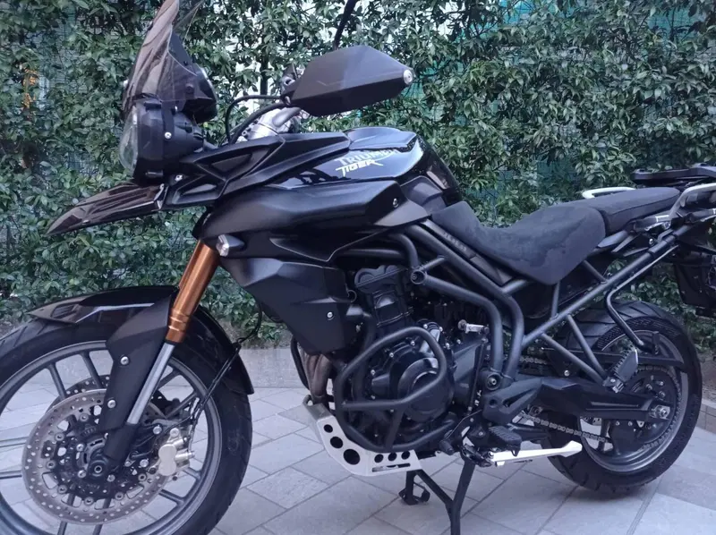 Triumph Tiger 800 ABS (2010 - 14) (6)