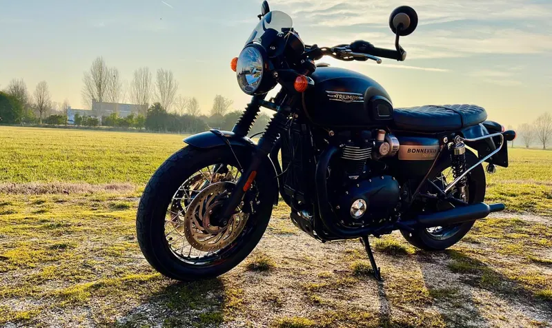 Triumph Bonneville T120 Gold Line Edition (2022 - 23) (3)