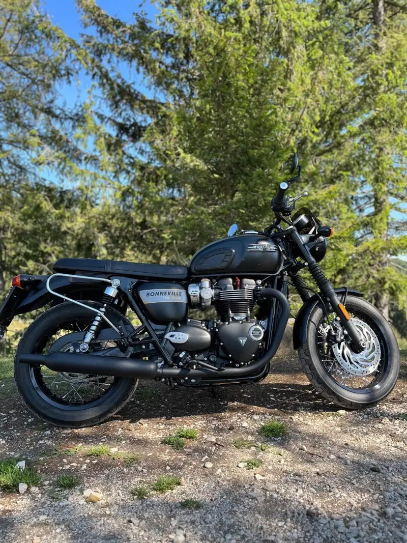 Triumph Bonneville T120 Gold Line Edition (2022 - 23) (4)