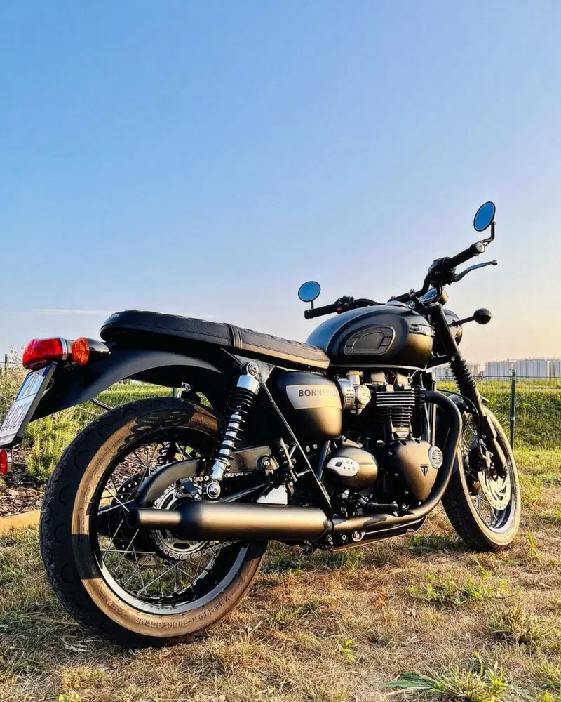 Triumph Bonneville T120 Gold Line Edition (2022 - 23) (5)