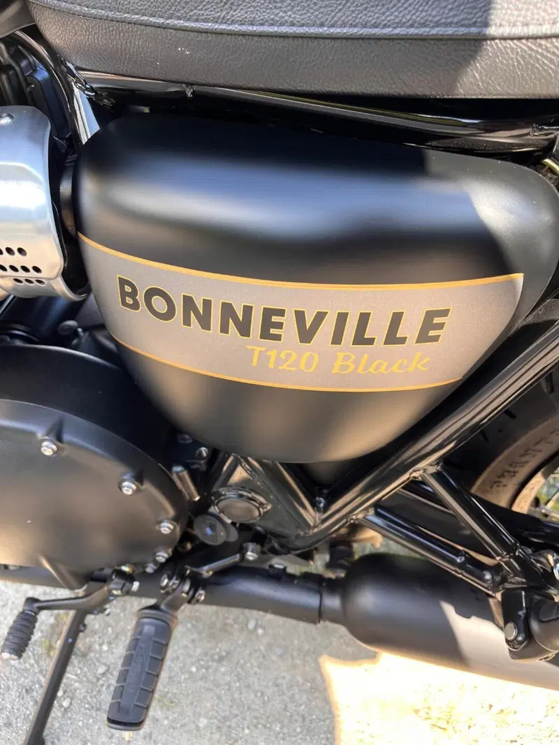 Triumph Bonneville T120 Gold Line Edition (2022 - 23) (6)