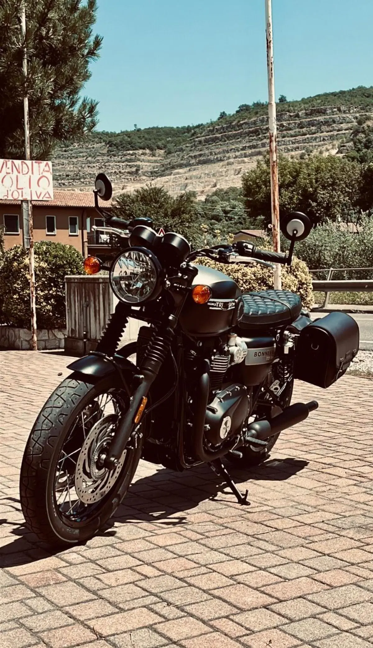 Triumph Bonneville T120 Gold Line Edition (2022 - 23) (8)