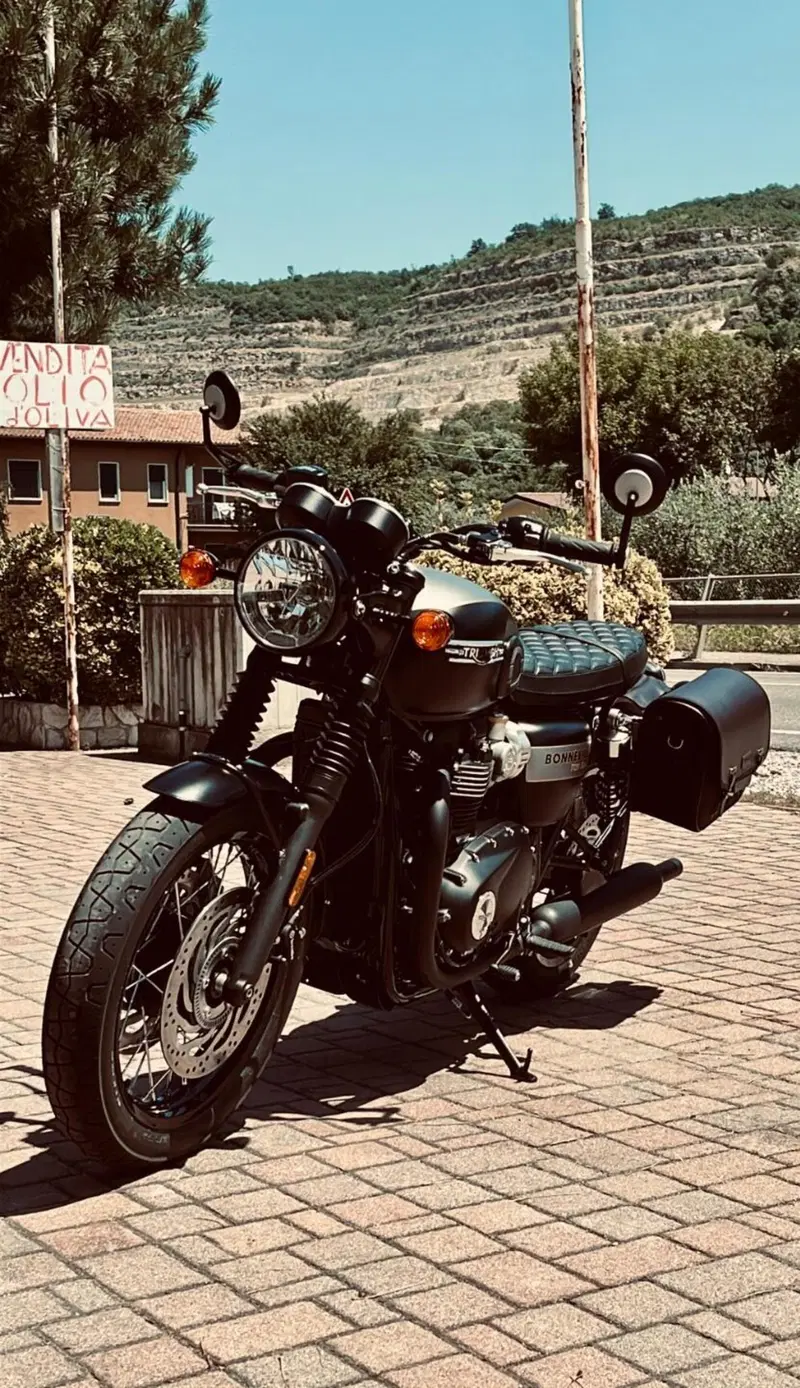 Triumph Bonneville T120 Gold Line Edition (2022 - 23) (8)