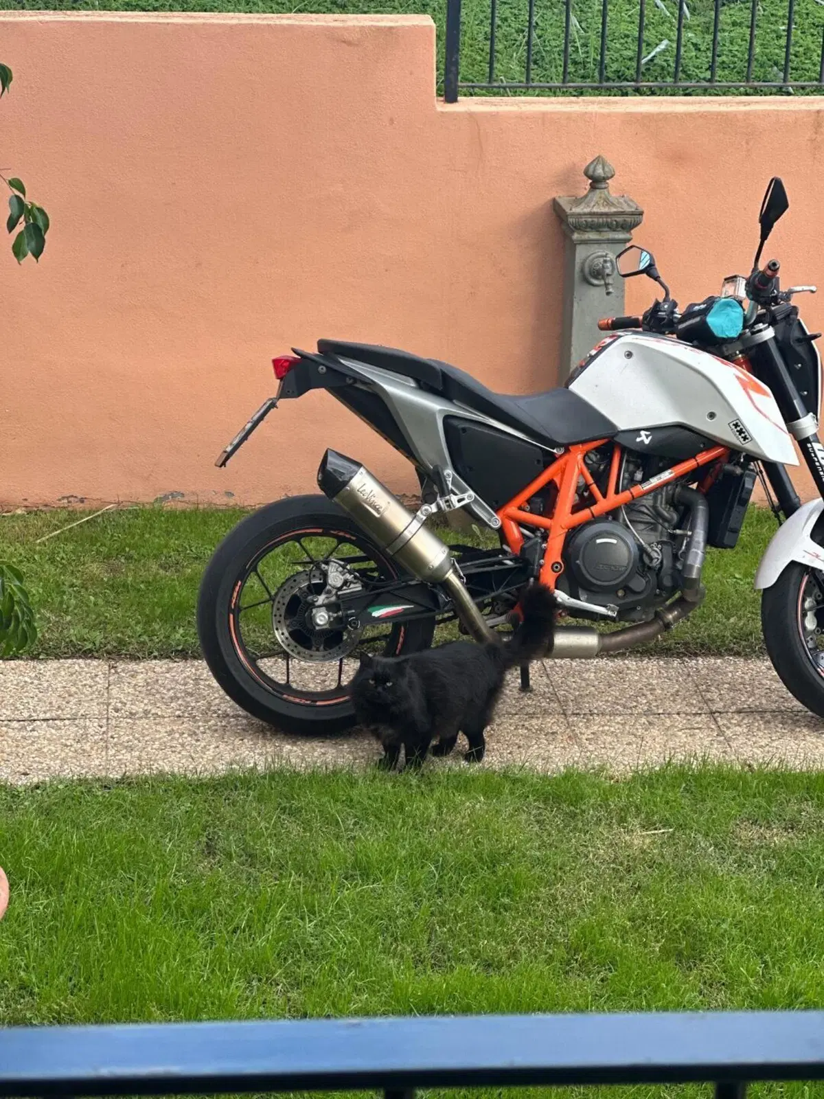 KTM 690 Duke R (2010 - 15) (9)