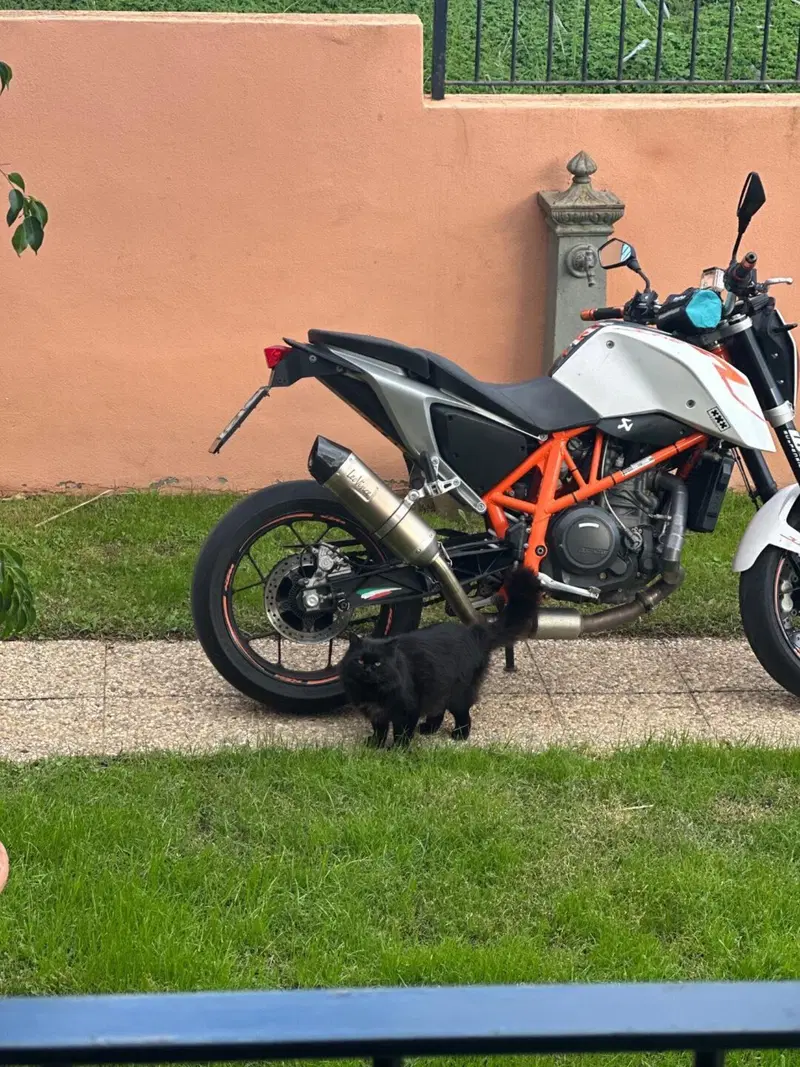 KTM 690 Duke R (2010 - 15) (9)