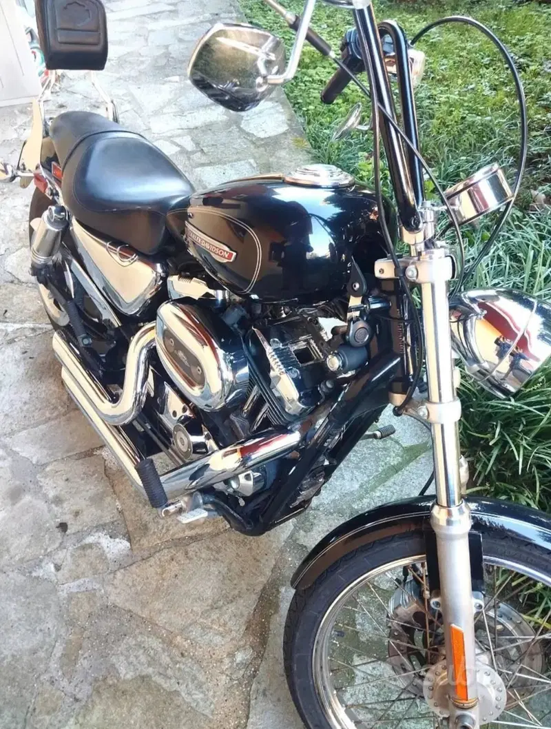 Harley-Davidson 1200 Custom (2007 - 13) - XL 1200C (3)
