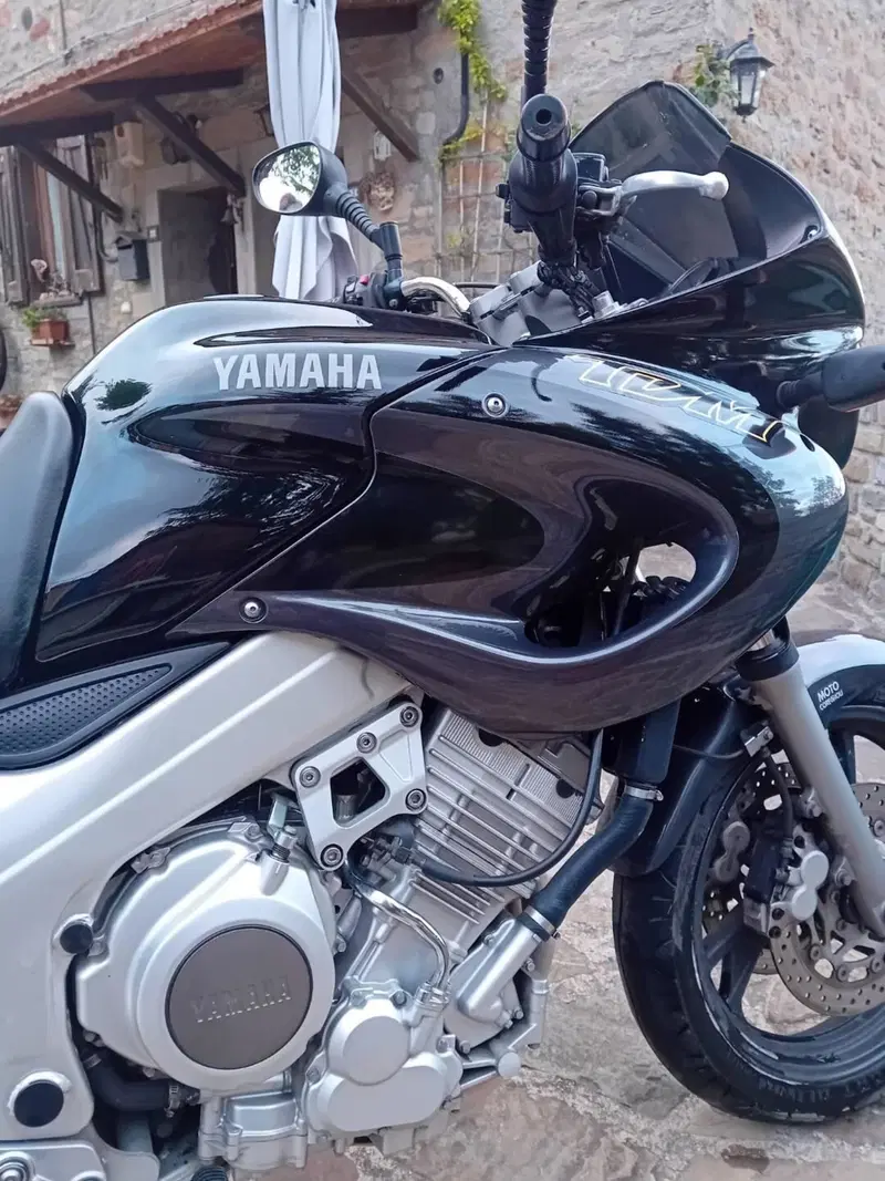 Yamaha TDM 850 (1996 - 01) (3)