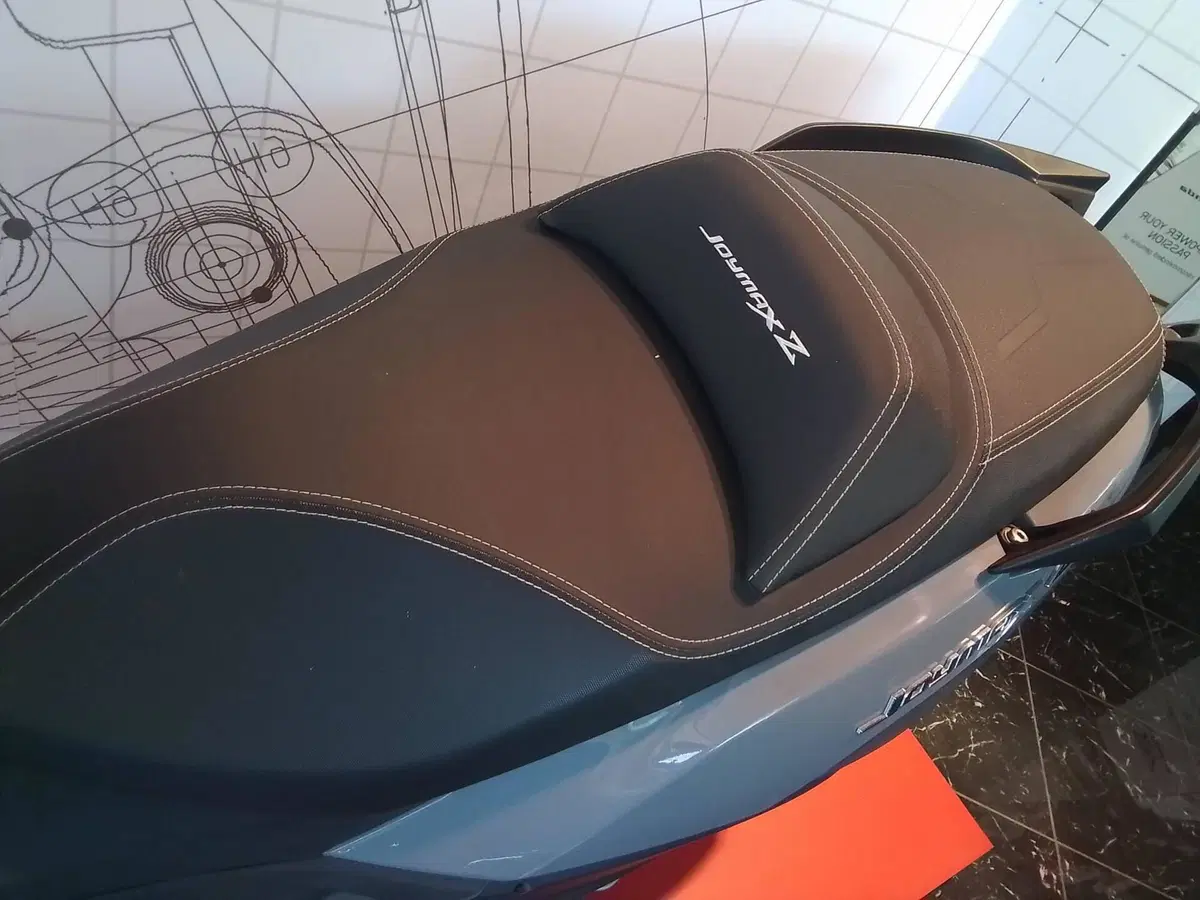 Sym Joymax 300 Z+ (2021 - 24) (8)