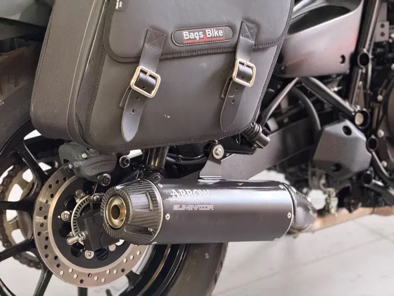 Kawasaki Eliminator 500 SE (2024 - 26) (8)