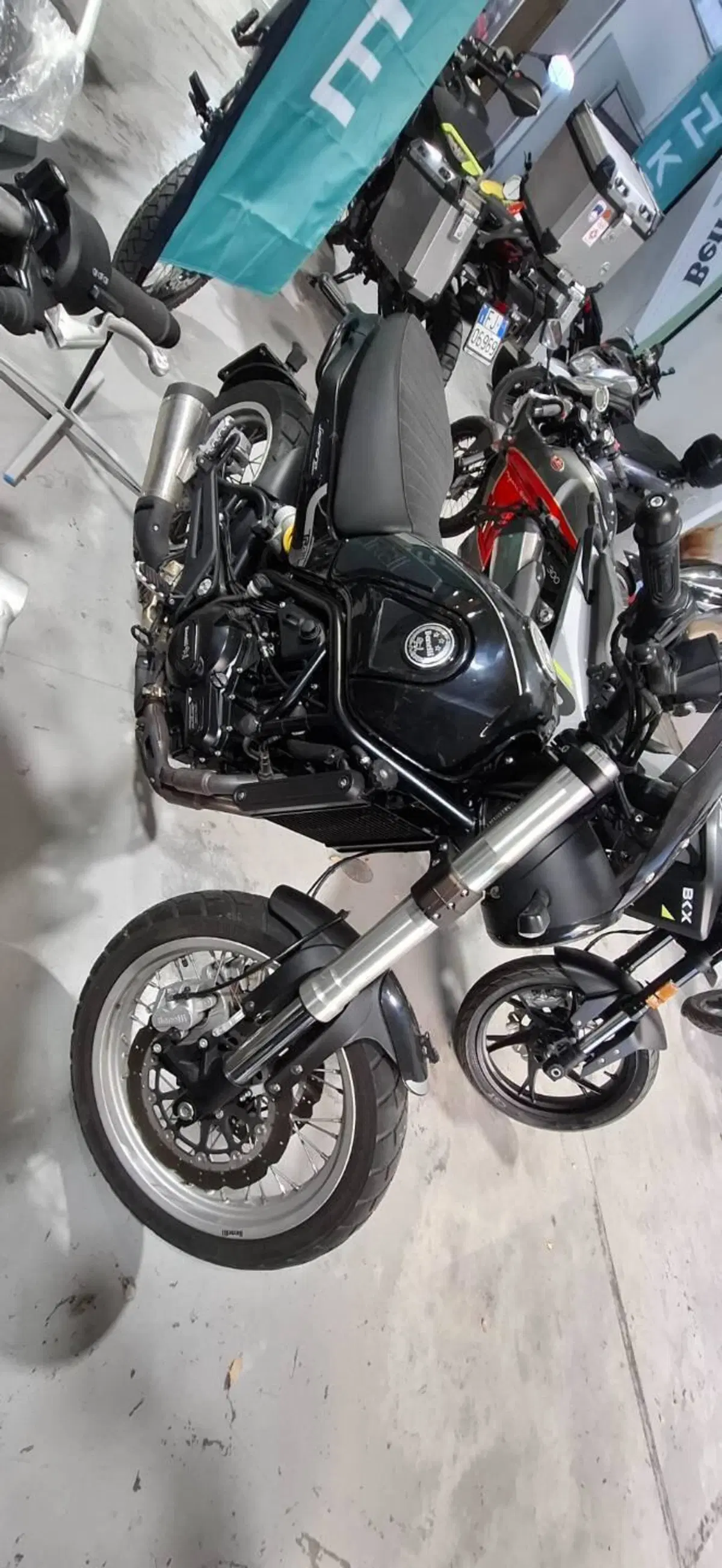 Benelli Leoncino 500 Trail (2021 - 26) (3)