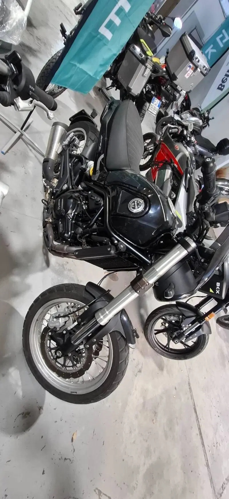 Benelli Leoncino 500 Trail (2021 - 26) (3)