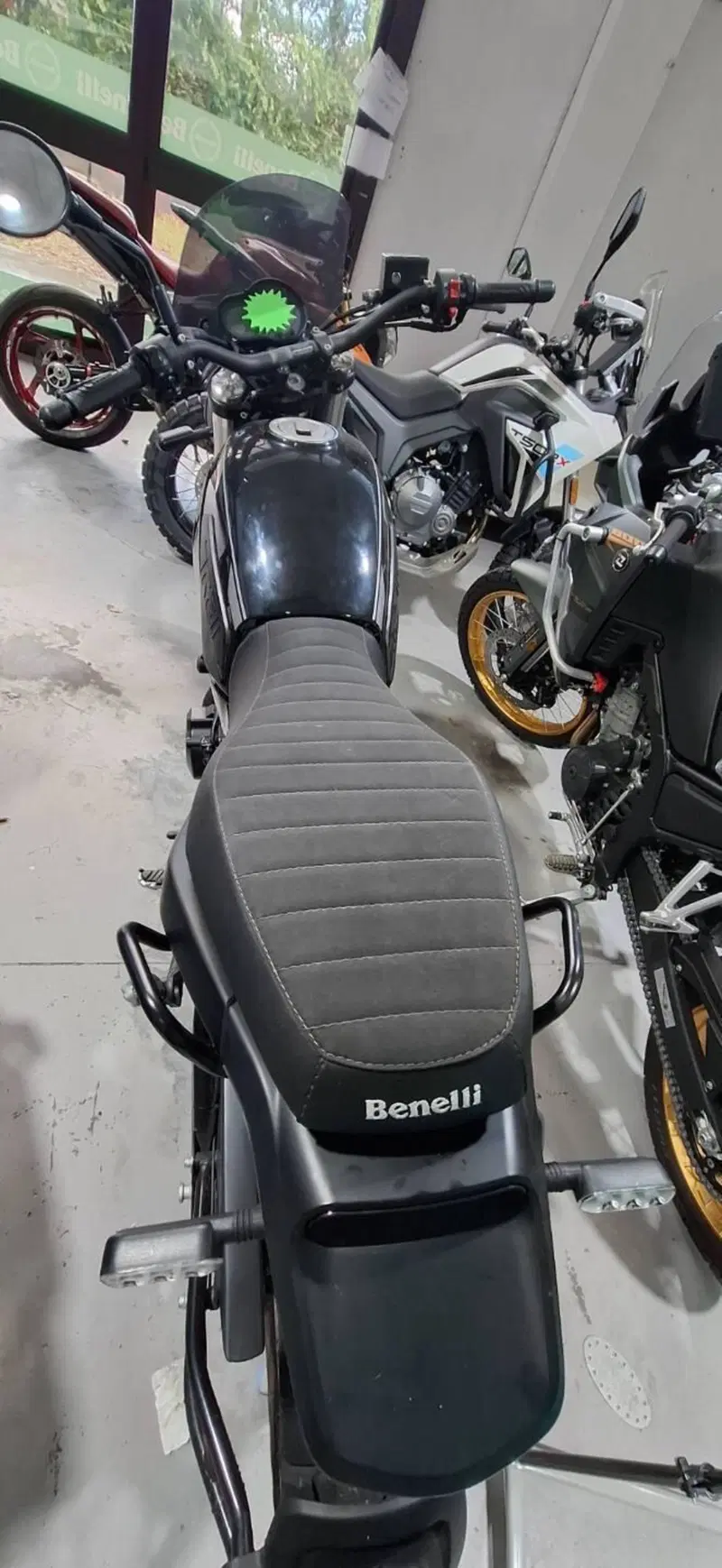 Benelli Leoncino 500 Trail (2021 - 26) (5)