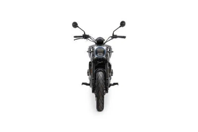 CFMOTO 300CL-X Heritage (2023 - 26) (3)