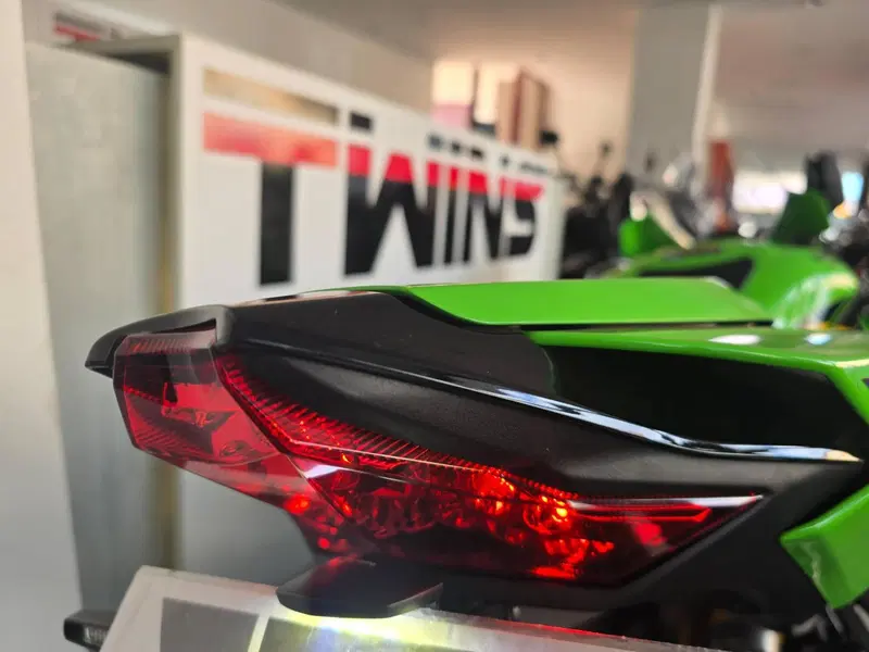 Kawasaki Ninja 1000 ZX-10R (2021 - 25) (9)