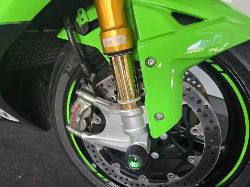 Kawasaki Ninja 1000 ZX-10R (2021 - 25) (11)