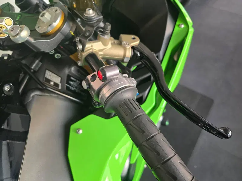 Kawasaki Ninja 1000 ZX-10R (2021 - 25) (12)