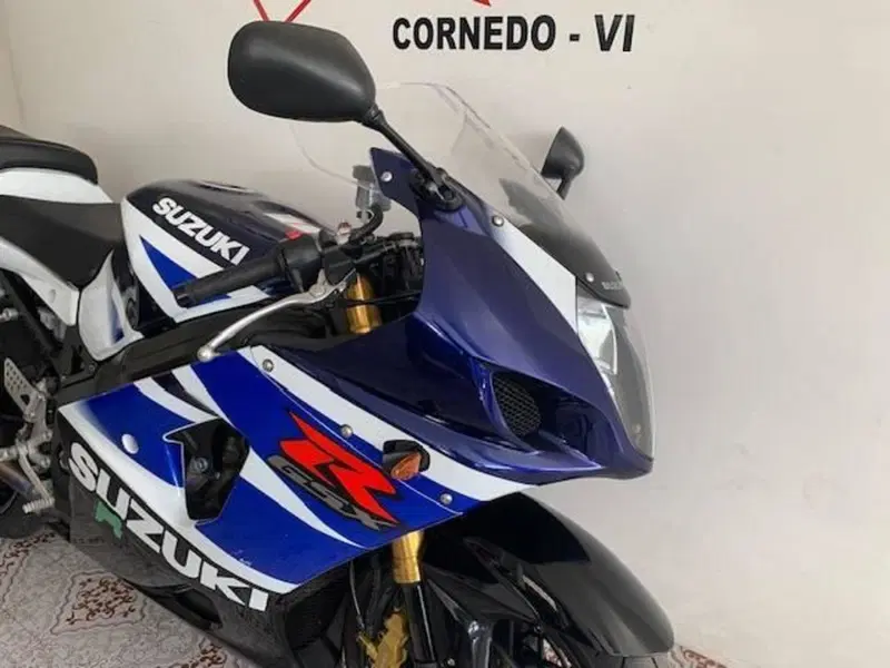 Suzuki GSX-R1000 (2003 - 04) (4)