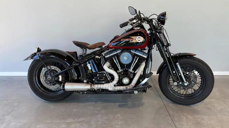 Harley-Davidson 1584 Cross Bones (2008 - 11) - FLSTSB (2)