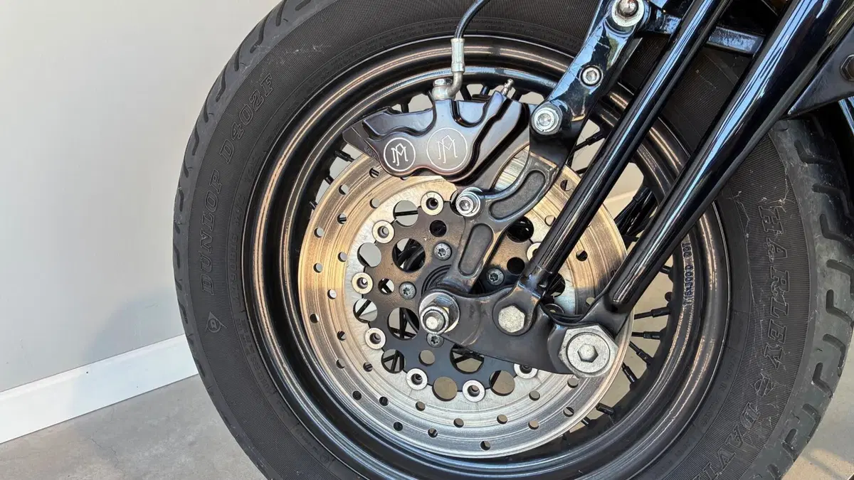 Harley-Davidson 1584 Cross Bones (2008 - 11) - FLSTSB (6)