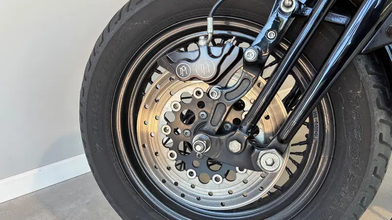 Harley-Davidson 1584 Cross Bones (2008 - 11) - FLSTSB (6)