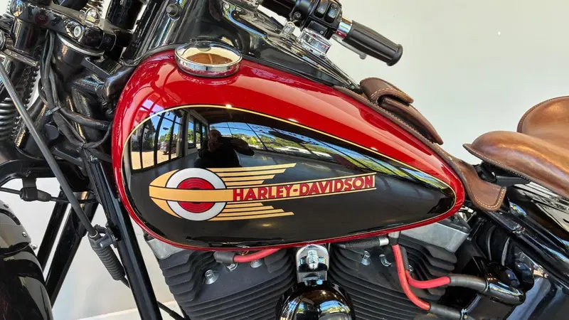 Harley-Davidson 1584 Cross Bones (2008 - 11) - FLSTSB (5)