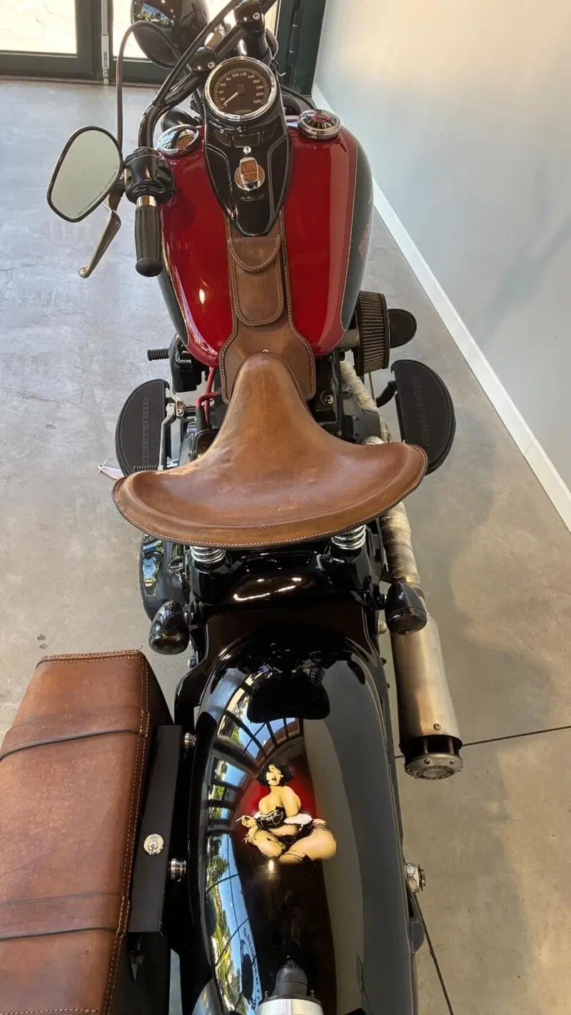 Harley-Davidson 1584 Cross Bones (2008 - 11) - FLSTSB (4)