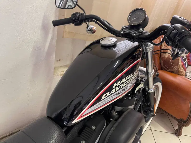 Harley-Davidson 883 R (2008 - 16) - XL 883R (9)