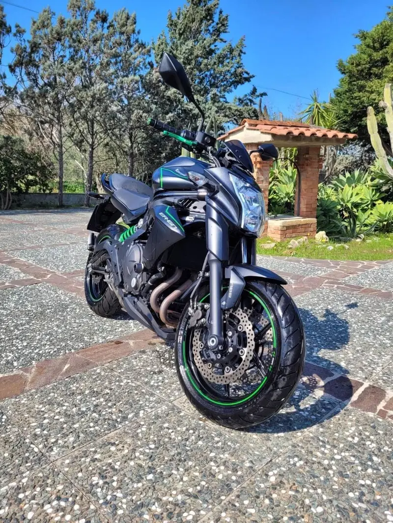 Kawasaki ER-6N ABS (2012 - 16)