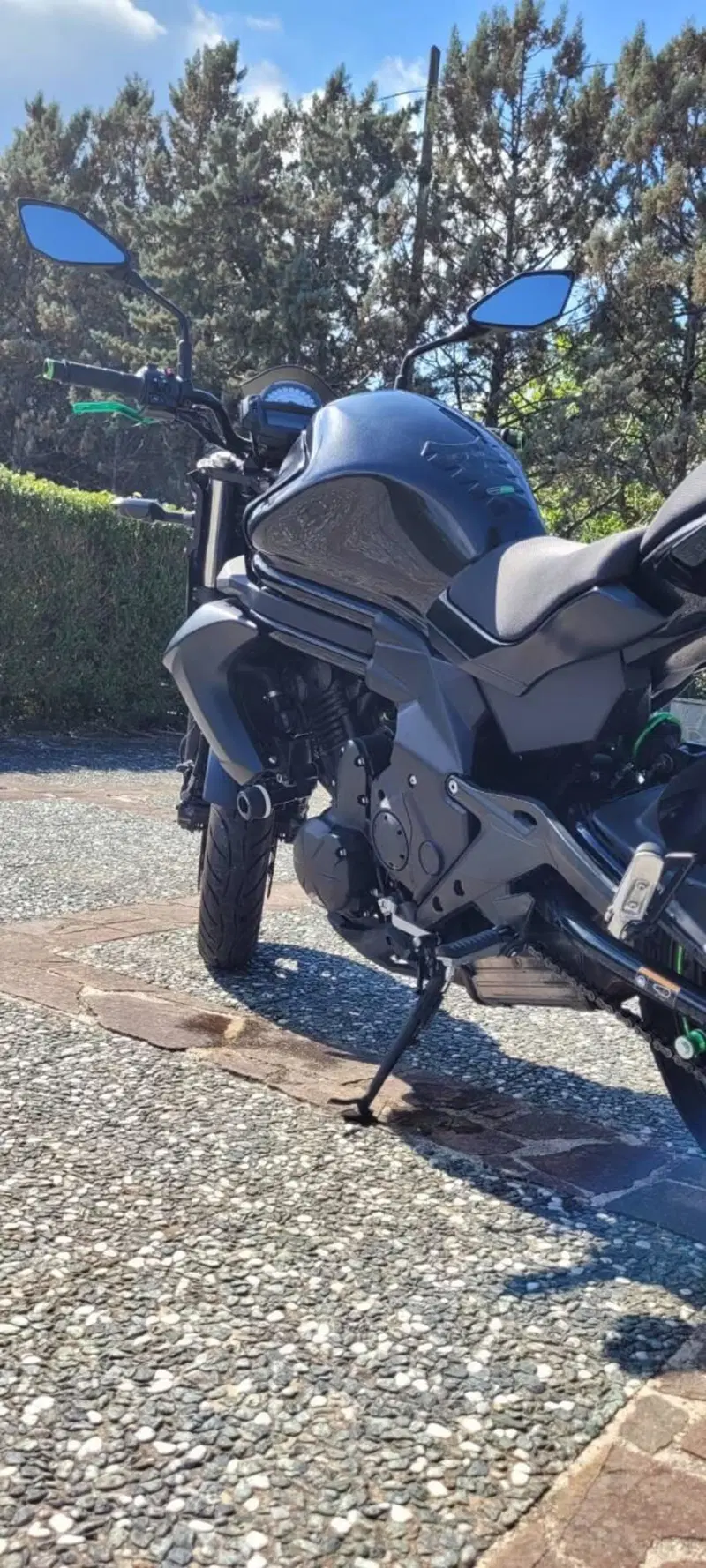 Kawasaki ER-6N ABS (2012 - 16) (3)