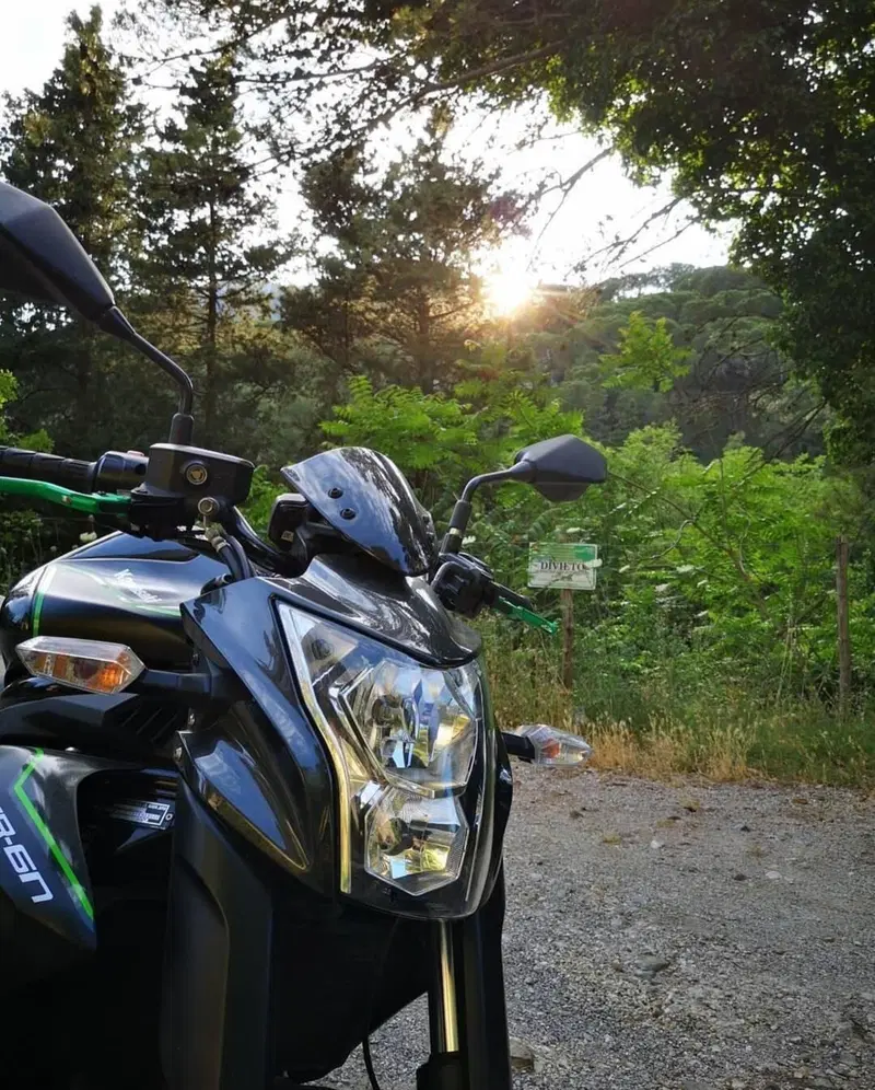 Kawasaki ER-6N ABS (2012 - 16) (5)