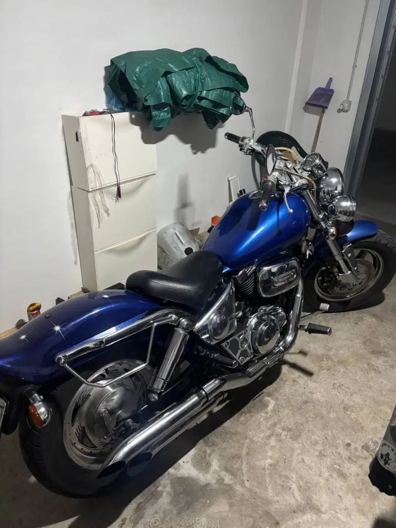 Suzuki Marauder VZ 800 (3)