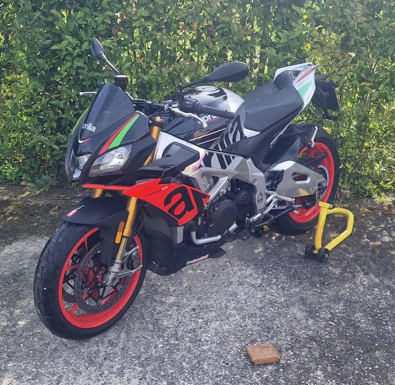 Aprilia Tuono V4 Factory (2019 - 20) (2)
