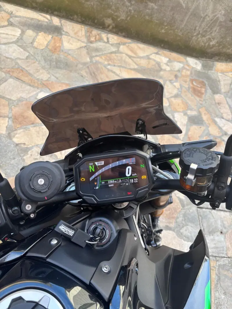 Kawasaki Z 900 (2021 - 24) (4)