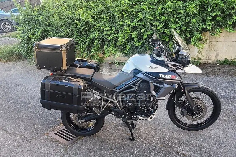 Triumph Tiger 800 XCx (2015 - 17) (4)