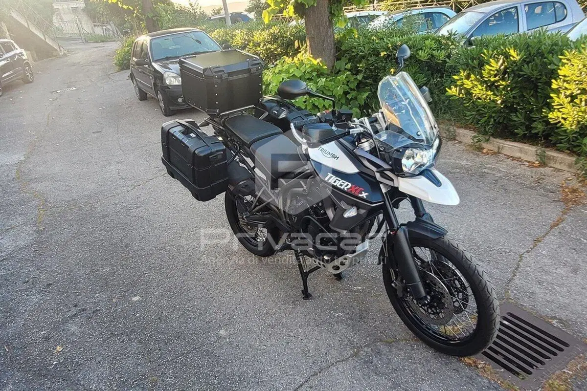 Triumph Tiger 800 XCx (2015 - 17) (10)