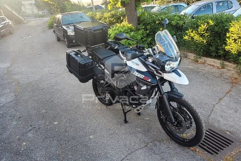 Triumph Tiger 800 XCx (2015 - 17) (10)